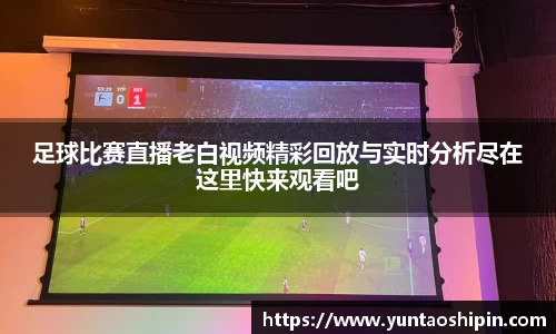 mk体育网址